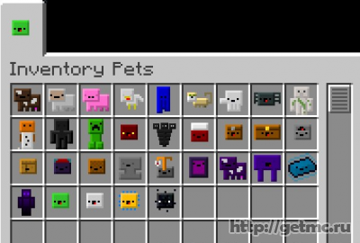 Inventory Pets Mod