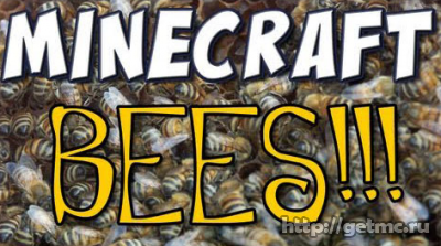 More Bees Mod